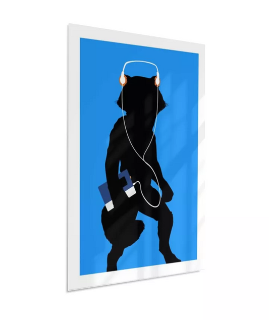 Quadro Mixtape - Rocket Raccoon