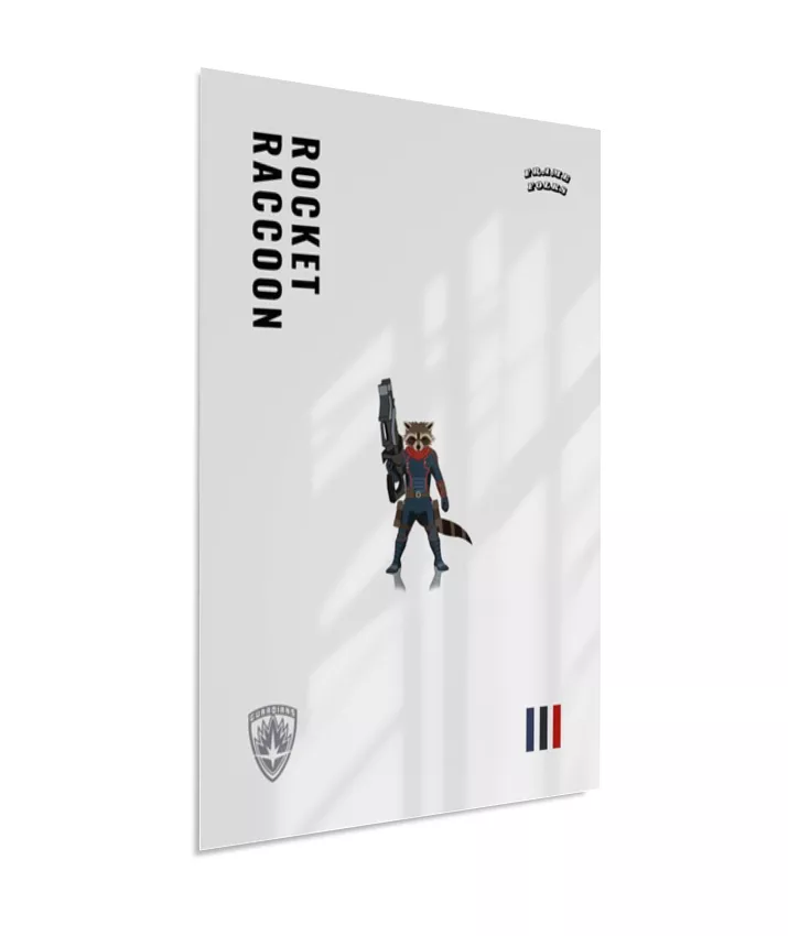 Quadro Rocket Raccoon - Guardiões da Galaxia V. 3
