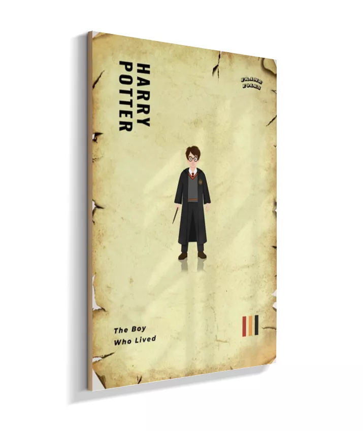 Quadro Harry Potter