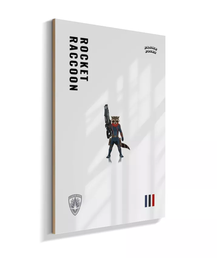Quadro Rocket Raccoon - Guardiões da Galaxia V. 3