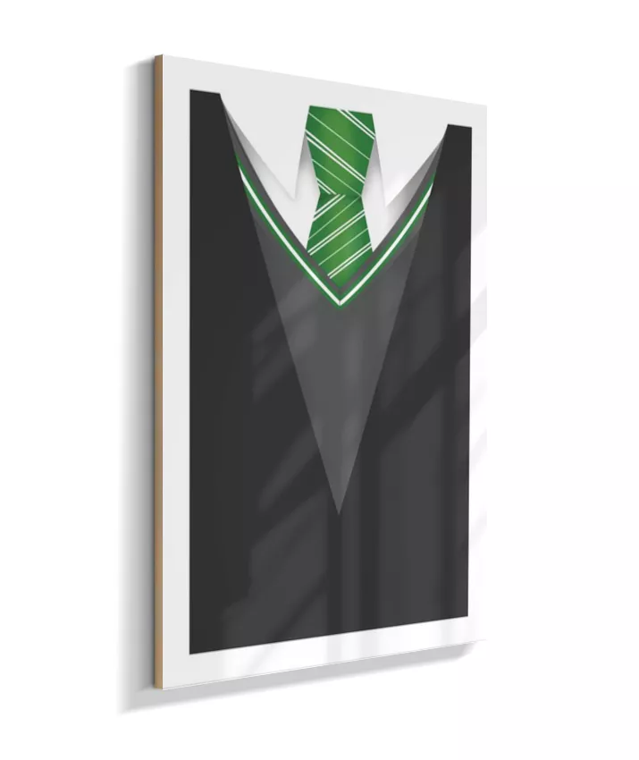 Quadro Harry Potter - Casa Sonserina