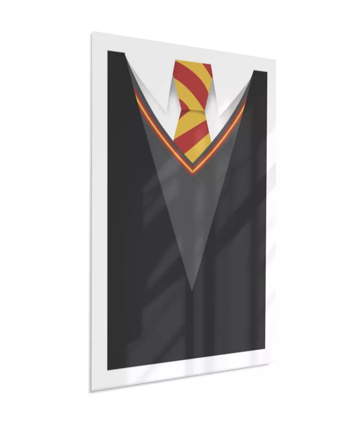 Quadro Harry Potter - Casa Grifinória