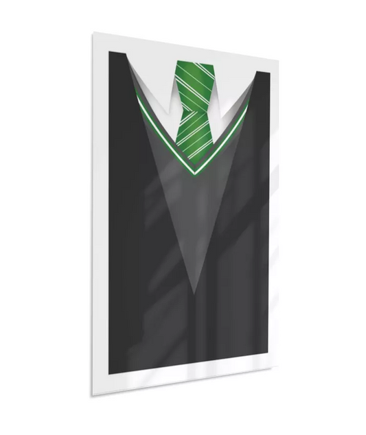 Quadro Harry Potter - Casa Sonserina